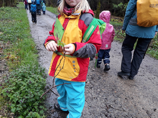 Waldnachmittag im Baldeggerwald