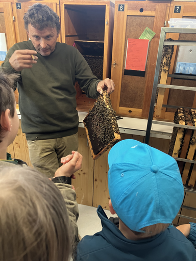 Bienen erleben