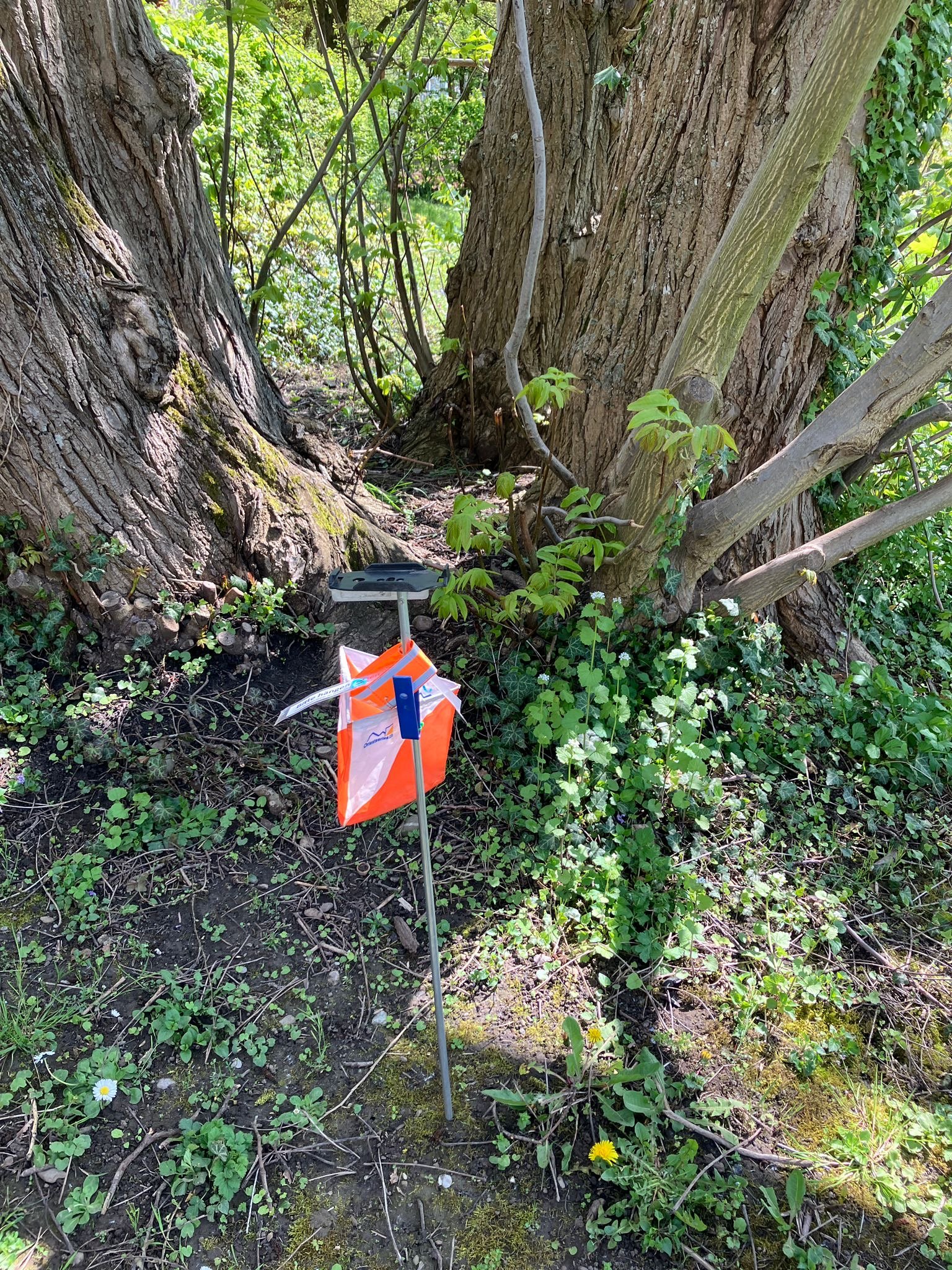 Orientierungslauf (OL) im Dorf