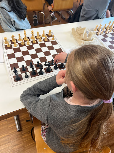 Schach - Spiel der Könige