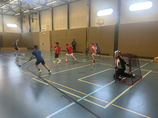 Unihockey