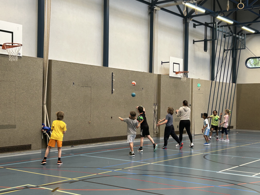 Handball